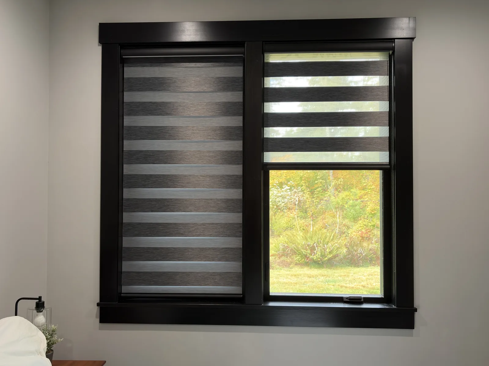 Dark zebra blinds with adjustable bands