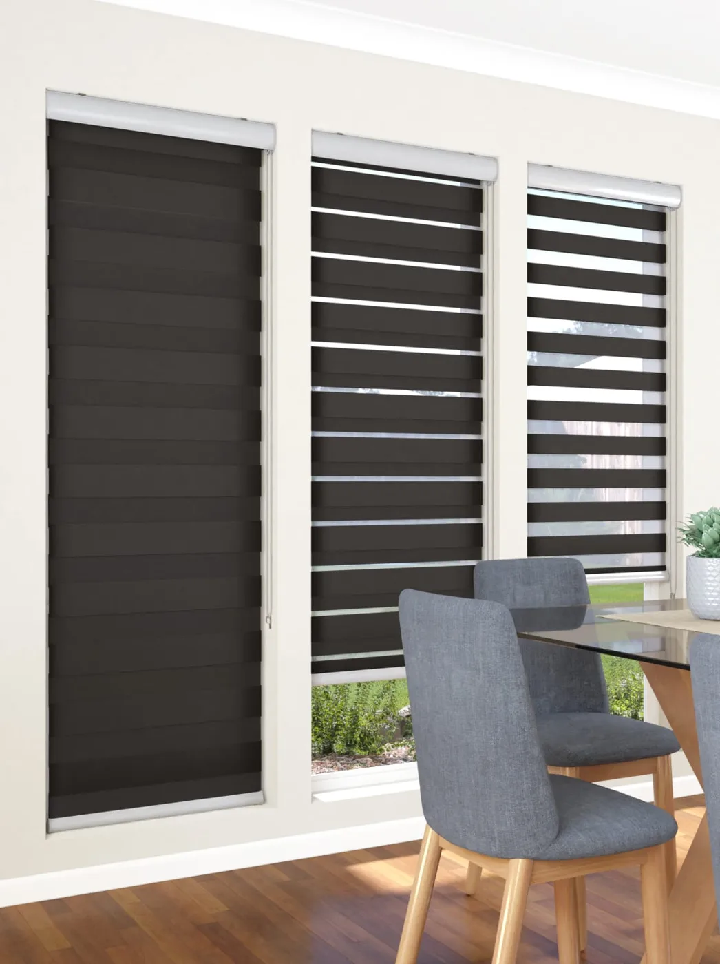 Zebra Blinds